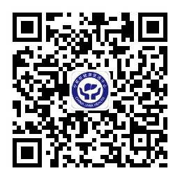 鸡入逼